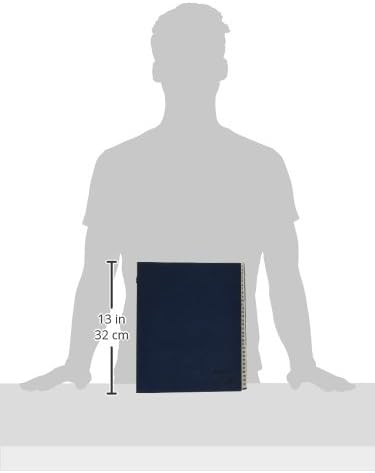 Pendaflex Expanding Desk File, Laminated Daily Tabs, Letter Size, Navy, Each (DDF4-OX)