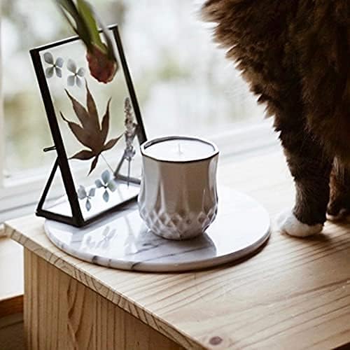 Hyggelight - The Growing Candle, Mint & Eucalyptus Scented, 9oz Ceramic Pot, Aromatherapy Candles, 100% Soy, Astrid