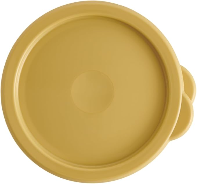 Skater SOT10-A One-Touch Seal Container, Large, 33.8 fl oz (1,000 ml), Airtight Container, Storage Container, Disney Winnie the Pooh
