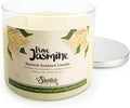 Pure Jasmine Highly Scented Natural 3 Wick Candle, Essential Fragrance Oils, 100% Soy, Phthalate & Paraben Free, Clean Burning, 14.5 Oz.