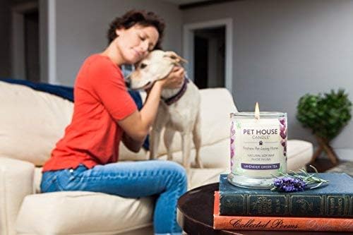 One Fur All Pet Lovers Candle - Ocean Breeze - Pet Odor Eliminator - Non-Toxic - Eco-Friendly