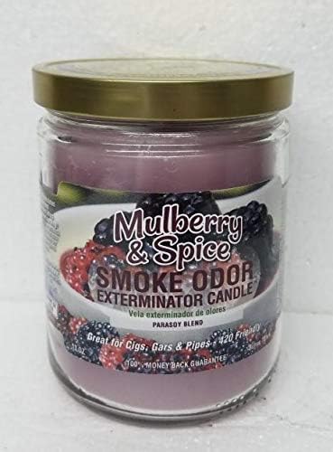 Smoke Odor Exterminator 13oz Jar Candle, Mulberry & Spice Two Pack.