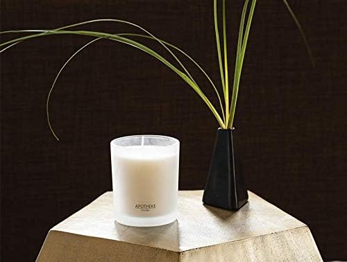 Apotheke Signature Scented Candles for Home, Sea Salt Grapefruit - 10.5 oz - Soy Wax, Non Toxic, Large Jar White - Luxury Candle Gifts for Women & Men - Pepper, Dew Drops, and Tarragon