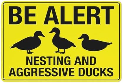 Copy Of Be Alert Nesting And Aggressive Ducks Bright Yellow Sign 12X8 Inch Aluminum Uv Ink Printed For House And Business