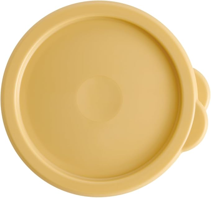 Skater SOT6-A One-Touch Seal Container, Small, 20.3 fl oz (600 ml), Airtight Container, Storage Container, Disney Winnie the Pooh