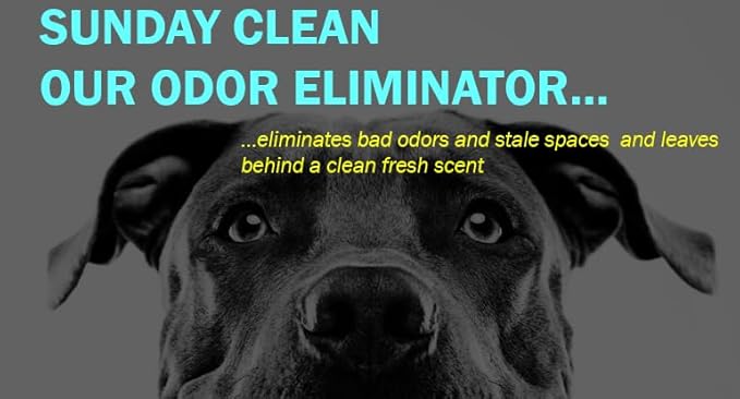 Odor Eliminator Candle, 8 oz., Soy Wax, Fresh Linen Scent, Sunday Clean