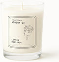 Citron Mandarin Scented Candle, 8oz Jar with Long-Lasting Burn, Giftable, Holidays,Birthdays