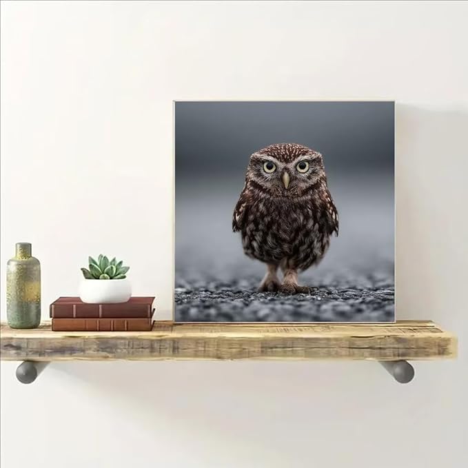 Diamond Art Kits for Adults Owl Diamond Painting Kit Animal, DIY Crafts for Adults 5D Full Square Drill Gem Art Embroidery Cross Stitch Painting Kit for Wall Decor, Birthday Girl 39.4x39.4inch 4-1W65