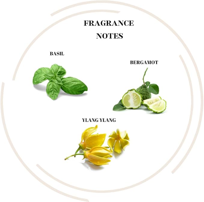 Candles for Home Scented - Luxury Soy with Basil Bergamot Ylang Ylang - Long-Lasting Highly Scented Jar Candles - Clean Burn - Non Toxic