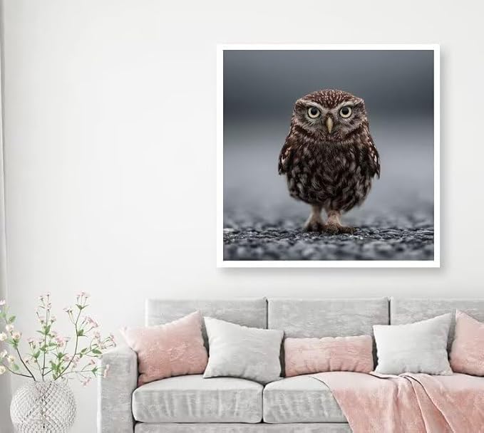 Diamond Art Kits for Adults Owl Diamond Painting Kit Animal, DIY Crafts for Adults 5D Full Square Drill Gem Art Embroidery Cross Stitch Painting Kit for Wall Decor, Birthday Girl 15.8x15.8inch 5-7W61