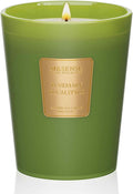 M&SENSE Rosemary Eucalyptus Soy Candle, 14.1oz 60H Long Lasting, Aromatherapy Candle for Bathroom Freshness Winter Home Decor Housewarming Gifts