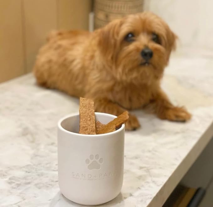 Sand + Paws Scented Candle - Pineapple Coconut - Additional Scents and Sizes –Luxurious Air Freshening Jar Candles Neutralize pet Odors and Enhance Home décor – 100% Cotton Lead-Free Wicks - 21 oz