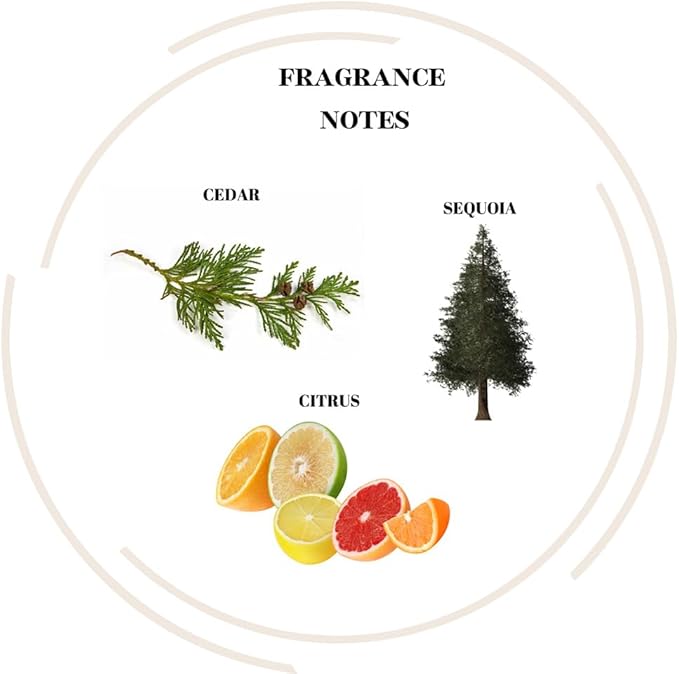 Highly Scented Soy Candles for Home Scented - Sequoia Citrus Cedar - Hand Poured Long-Lasting Jar Candle - Clean Burn - to New Beginnings
