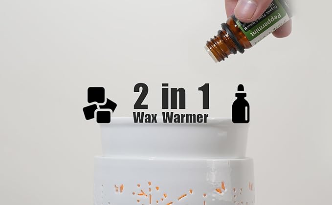 Ceramic Electric Wax Melt Warmer & Cube Oil Melter Cute Small Warmers Aromatherapy for Home Decorative Burner Melts Scented Candle Tart Scent Warm Fragrance