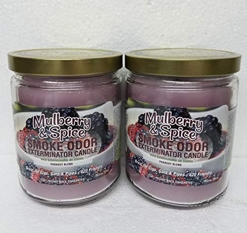 Smoke Odor Exterminator 13oz Jar Candle, Mulberry & Spice Two Pack.
