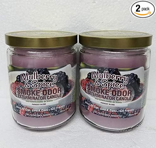 Smoke Odor Exterminator 13oz Jar Candle, Mulberry & Spice Two Pack.