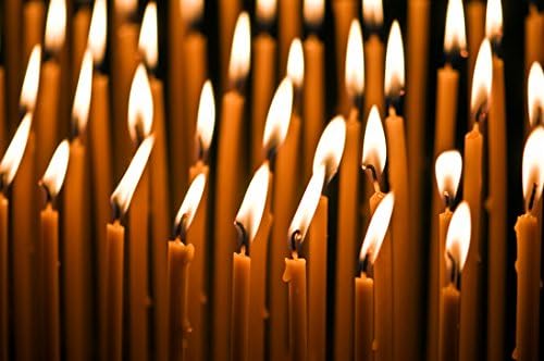 100% Beeswax 5 Hour Burning Candles Organic Hand Made - 9 Inches Tall, 1/2 Inch Thick; Tapers (6)
