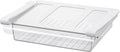 Pull-Out Fridge Drawer Organizer - Under Shelf Storage Bins for Cheese Slices, Deli Meat & Small Items - Space Saving Refrigerator Organizer (2" Height x 8.66" Width)