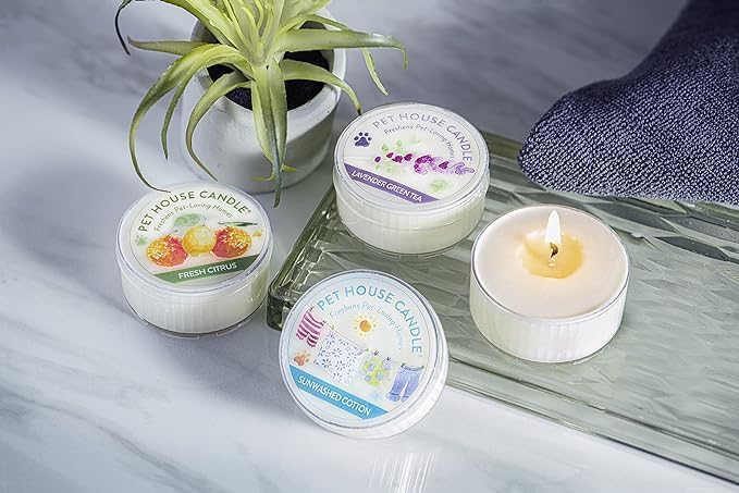 Pet House Mini Candles for Pet Odor Made with Natural Soy Wax, Plant Based, Dog and Cat Friendly Scented Candles, Mediterranean Sea Pack of 3