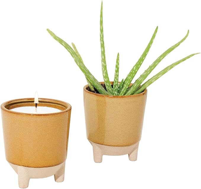 Modern Sprout Glow and Grow Kit - 2 in 1 Scented Candle That Grows into a Aloe Plant - 12 oz Soy Candle with 78 hr Burn time in Glaze Ceramic Vessel - Planter Ideal for Home Decor Aesthetic