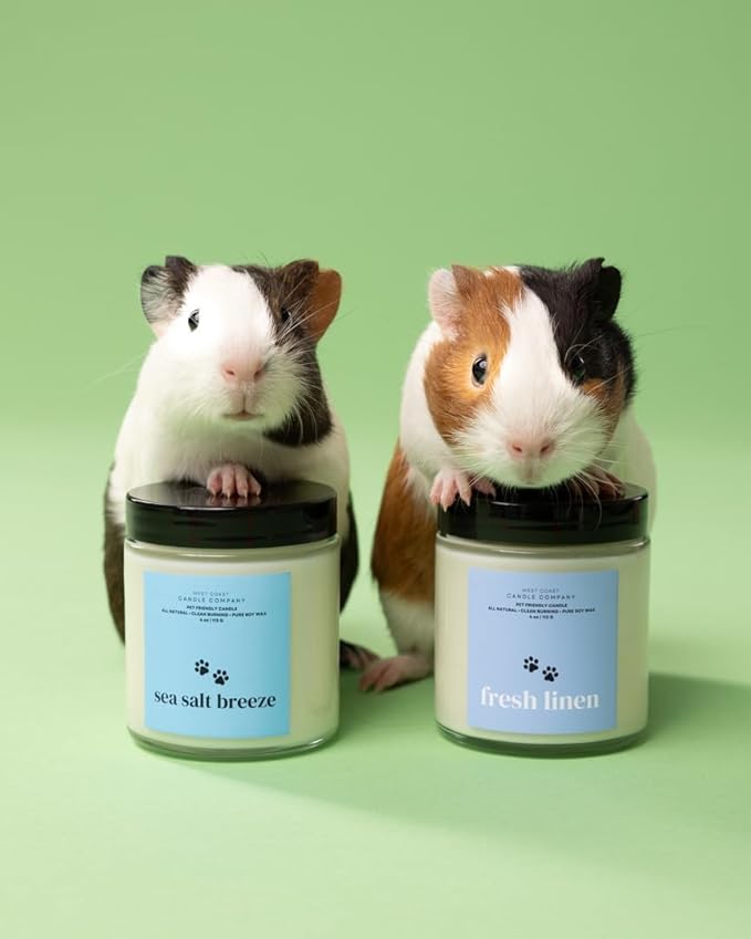 Fresh Linen | Mini Pet Friendly Candle | Soy-Free Coconut Apricot Wax | Clean Burning | Non-Toxic | Veterinarian Approved | Pet Odor Eliminator | Air Freshening Scented Candle | 4 oz