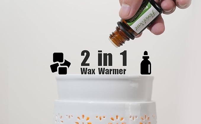 Ceramic Electric Wax Melt Warmer & Cube Oil Melter Cute Small Warmers Aromatherapy for Home Decorative Burner Melts Scented Candle Tart Scent Warm Fragrance