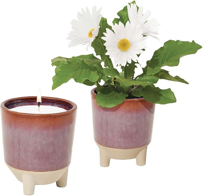 Modern Sprout Glow and Grow Kit - 2 in 1 Scented Candle that Grows into a Daisy Plant - 12 oz Soy Candle with 78 hr Burn time in Glaze Ceramic Vessel - Planter Ideal for Home Decor Aesthetic