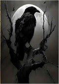 Gothic Raven on Bare Tree Under Full Moon Paint by Numbers for Adults, Dark Fantasy DIY Painting Kit, Moody Wall Decor 24 Colors 16x20 inch Framed