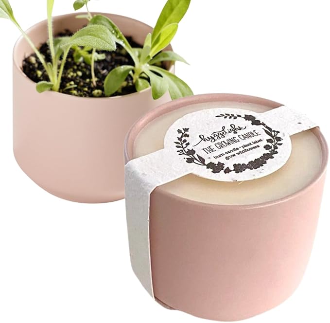 Hyggelight - The Growing Candle, Lavender Scented, 8oz Ceramic Pot, Single Wick Aromatherapy Candles, 100% Soy for Women and Men, Adelyn
