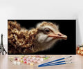 Paint by Numbers Kit for Adults Ostrich Painting by Numbers Animal DIY Kits for Adults Canvas Painting Crafts, Hobbies for Women Beginner for Home Wall Decor Art Gifts Without Frame 16x32 Inch P-OH43
