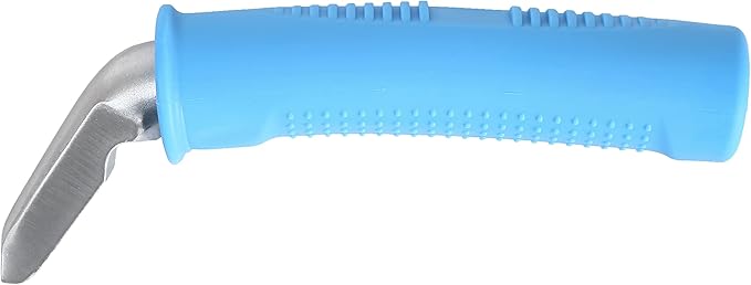Valorcielo Auto Cane Portable Vehicle Support Handle, Car Door Assist Bar, Supports up to 300 Pounds, Car Door Handle for Elderly (Blue)