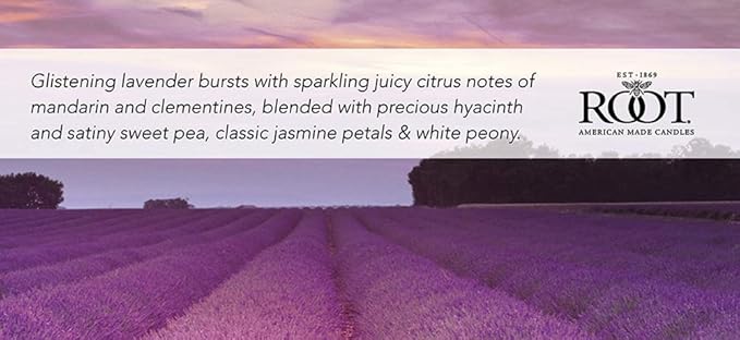 Root Candles Scented Candles Honeycomb Veriglass Premium Handcrafted Beeswax Blend Candle, Small, Lavender Vanilla