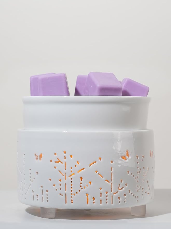 Ceramic Electric Wax Melt Warmer & Cube Oil Melter Cute Small Warmers Aromatherapy for Home Decorative Burner Melts Scented Candle Tart Scent Warm Fragrance