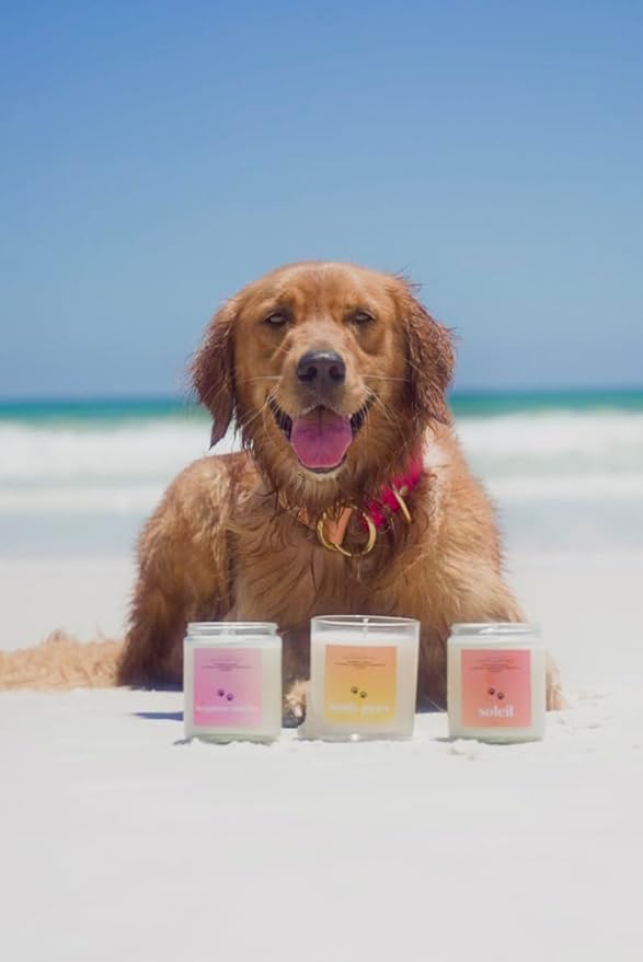 Bergamot Sunrise | Mini Pet Friendly Candle | Pet Safe | All Natural Clean Burning Soy | Non-Toxic | Dog & Cat Safe | Pet Odor Eliminator | Air Freshening Scented Candle | 4 oz
