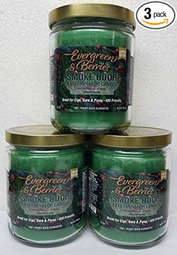 Smoke Odor Exterminator 13oz Jar Candles (Evergreen & Berries, 3)
