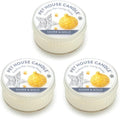 Pet House Mini Candles for Pet Odor Made with Natural Soy Wax, Plant Based, Dog and Cat Friendly Scented, Silver & Gold Pack of 3