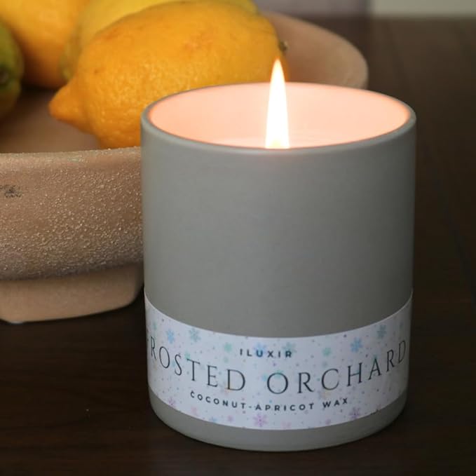 Frosted Orchard Luxury Candle for Fall Décor – Refreshing Scented Candles with Citrus Pine Juniper & Sage– Handcrafted Non-Toxic Candles, Phthalate-Free Cruelty-Free Coconut Wax Candle (13 oz.)
