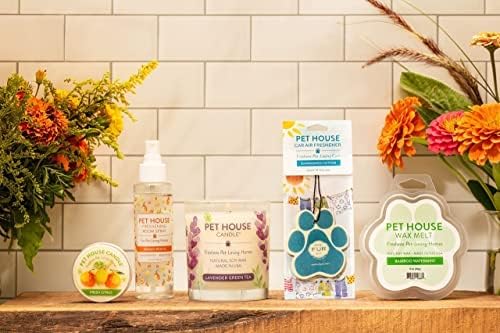 One Fur All Pet Happy Birthday Candle - Pet-Friendly & Natural Wax Candles - Birthday Cake Candle Scent - Plant-Based Eco-Friendly Scented Wax Candles - Dog Birthday Gift - Pet Odor Eliminator Candle