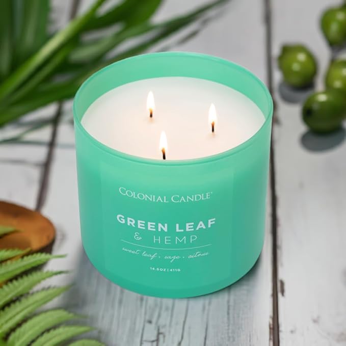Colonial Candle Green Leaf & Hemp Scented Jar Candle, Pop of Color Collection, 3 Wick, Green, 14.5 oz - Up to 60 Hours Burn