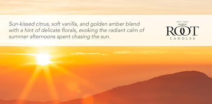 Root Candles Scented Candles in Travel Tin 24-Hour Honeycomb Traveler Handcrafted Beeswax Blend Candle, 4-Ounce, Golden Hour