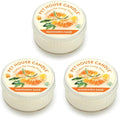 Pet House Mini Candles for Pet Odor Made with Natural Soy Wax, Plant Based, Dog and Cat Friendly Scented, Mandarin Sage Pack of 3
