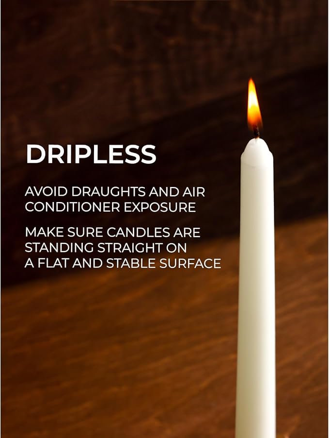 CANDWAX Candle Set of 12 Ivory Taper Candles 8 inch - Dripless and Ideal for Wedding Use - Long Burning and Unscented Candlesticks - Ivory Candles