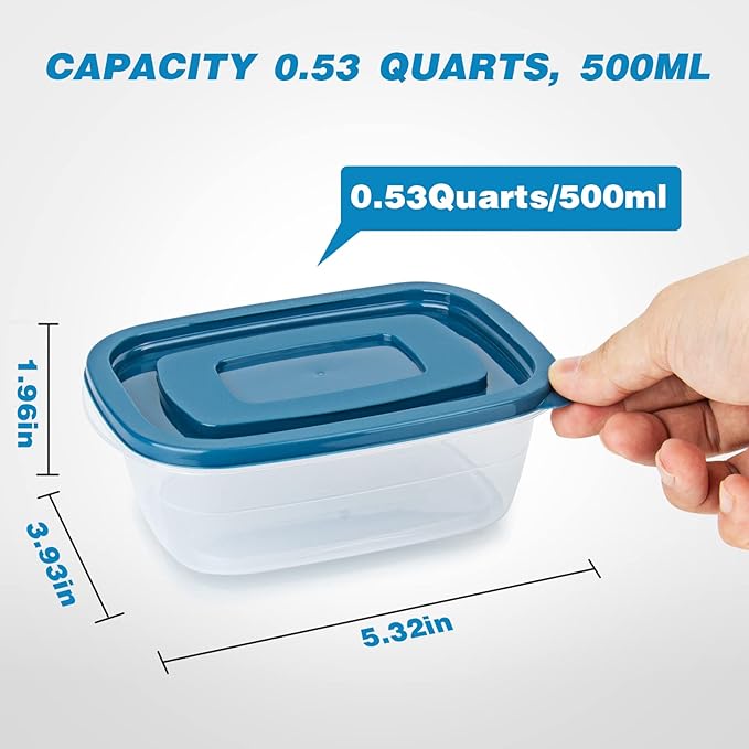 PEDECO 20PCS Rectangle Plastic Portion Box Sets with Lids.Food Storage Box,Container Sets,Food Storage,Food Containers,Plastic Container,use for School,Work and Travel,0.53 Quarts Per Box.