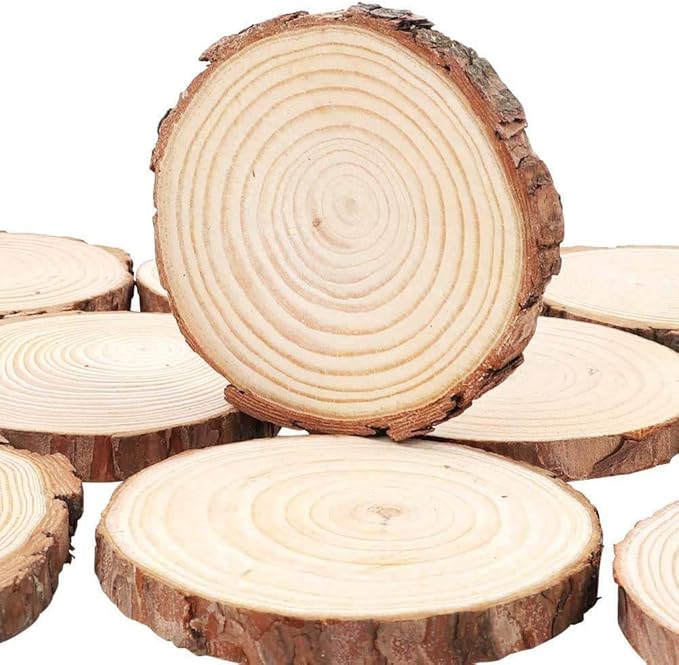 Unfinished Natural with Tree Bark Wood Slices 30 Pcs 2.4"-2.8" inch Disc Coasters Wood Coaster Pieces Craft Wood kit Circles Crafts Christmas Ornaments DIY Crafts with Bark for Crafts Rustic Wedding