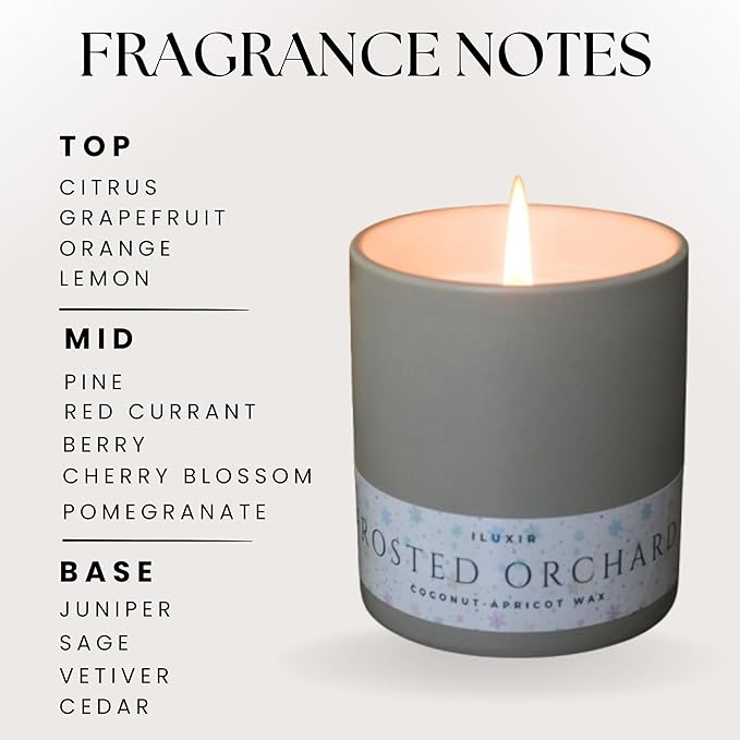 Frosted Orchard Luxury Candle for Fall Décor – Refreshing Scented Candles with Citrus Pine Juniper & Sage– Handcrafted Non-Toxic Candles, Phthalate-Free Cruelty-Free Coconut Wax Candle (13 oz.)