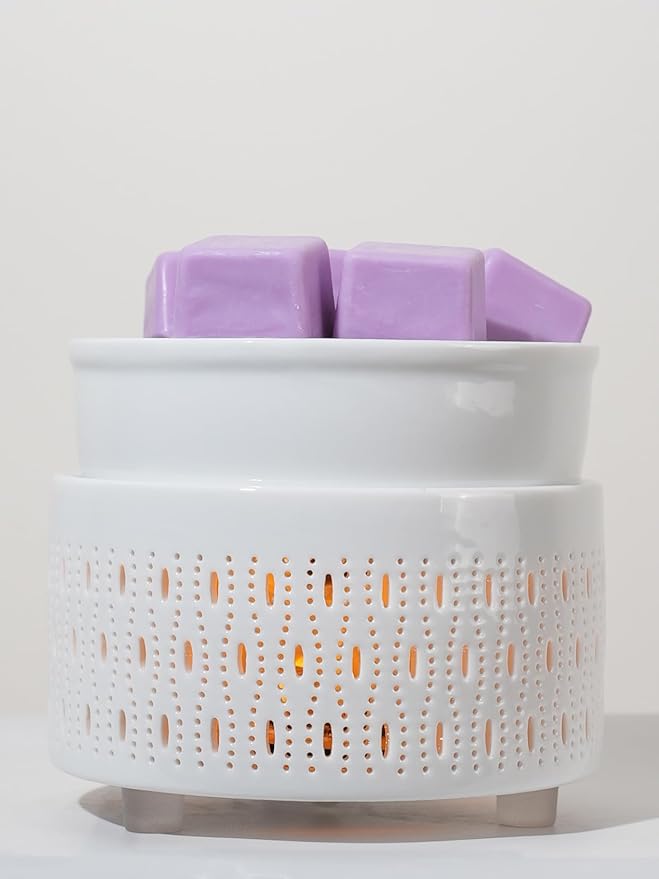 Ceramic Electric Wax Melt Warmer & Cube Oil Melter Cute Small Warmers Aromatherapy for Home Decorative Burner Melts Scented Candle Tart Scent Warm Fragrance