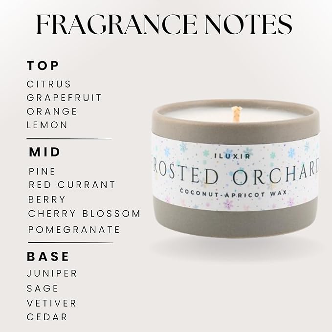 Frosted Orchard Luxury Candle for Fall Décor – Refreshing Scented Candles with Citrus Pine Juniper & Sage– Handcrafted Non-Toxic Candles, Phthalate-Free Cruelty-Free Coconut Wax Candle (5 oz.)