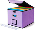 CADONO File Organizer Box with Lid, Large Hanging File Folder Organizer with Plastic Slide, Collapsible Portable Filing Storage Boxes for Office/Decor/Home (Light Purple, 14.9 x 12.59 x 10.8 inch)