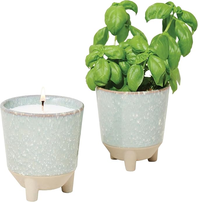 Modern Sprout Glow and Grow Kit - 2 in 1 Scented Candle That Grows into a Basil Plant - 12 oz Soy Candle with 78 hr Burn time in Glaze Ceramic Vessel - Planter Ideal for Home Decor Aesthetic