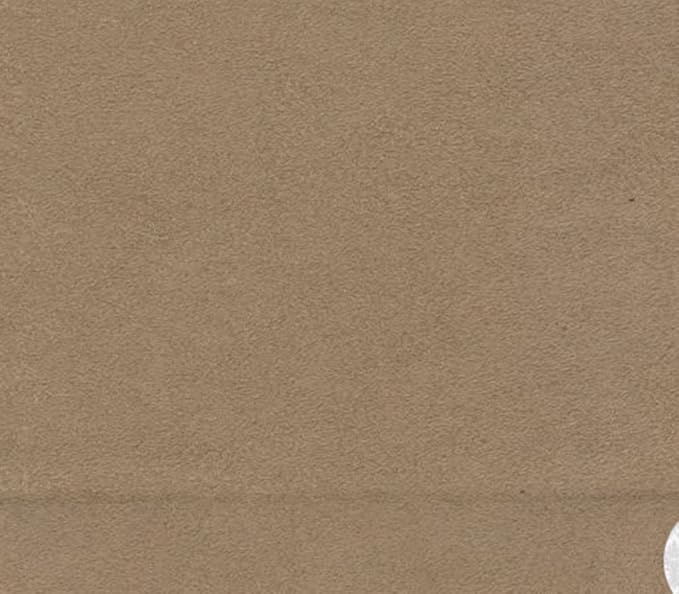 Micro/Passion Suede Fabric Warm Colors 58" Wide Sold by The Yard (58" W Continuous Yards/Seller Shipped, Lichen)